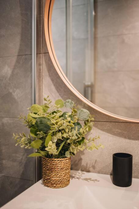 Apartament La Vie En Rose - Luxe, Calme & Hypercentre - 3* Annecy Zewnętrze zdjęcie